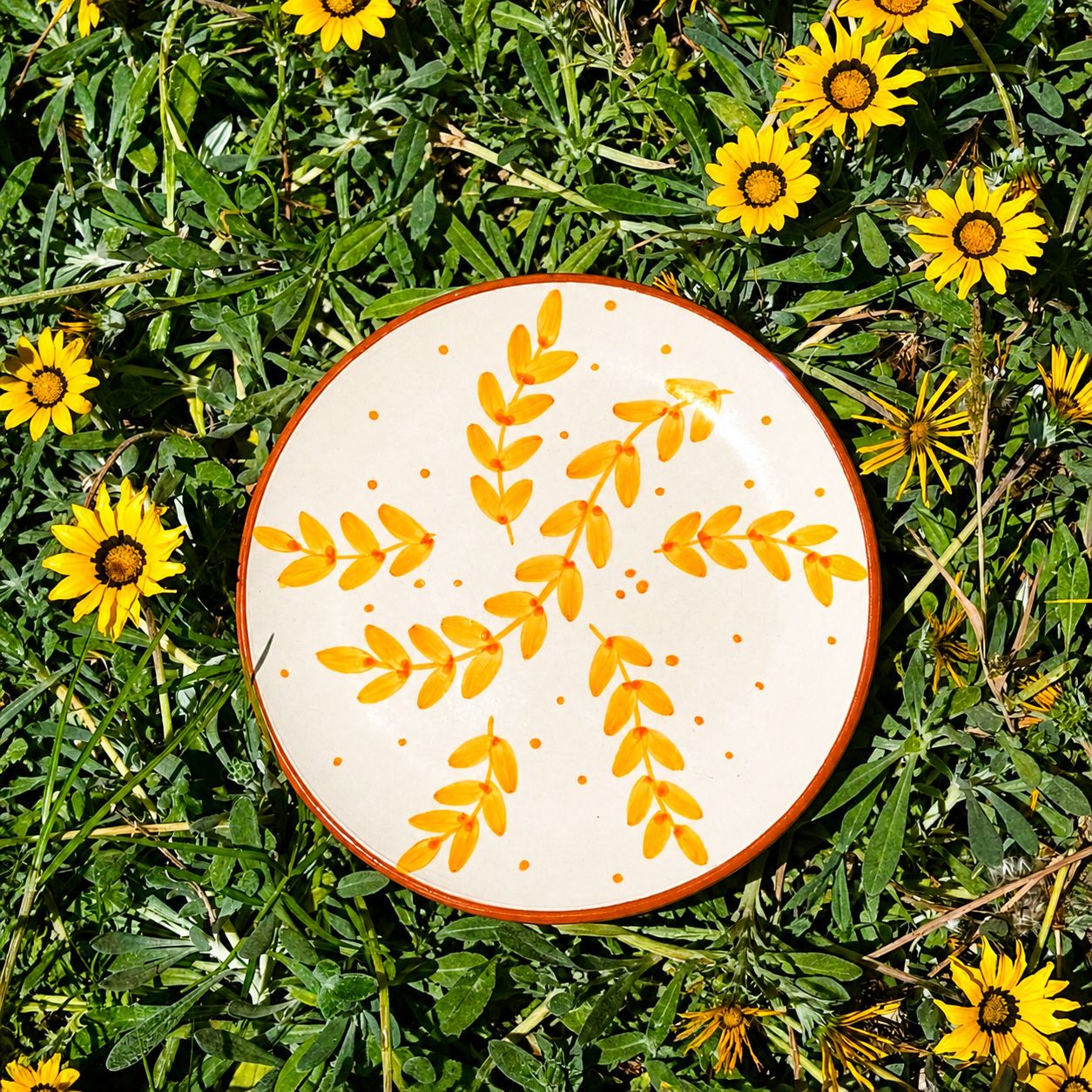 Yellow leaf plate \ Assiette en feuille jaune